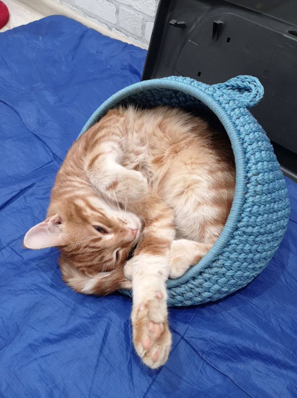 Crochet Pet house