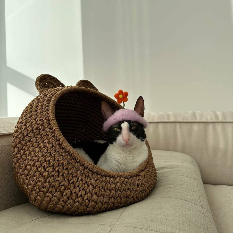 Crochet Pet house