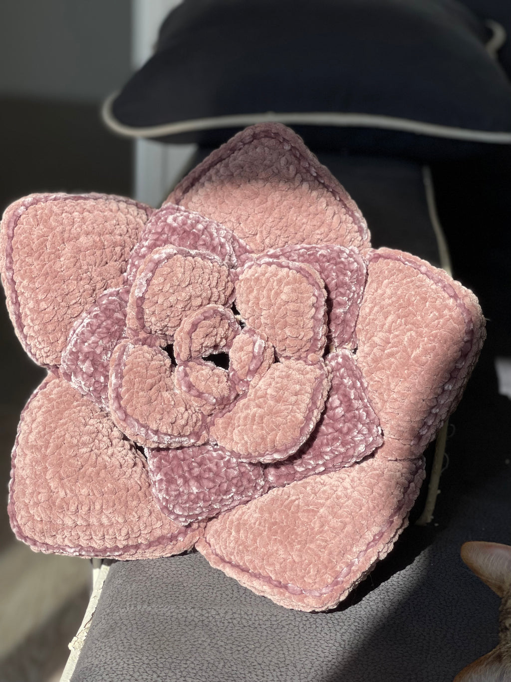 Crochet succulent pillow (pdf)