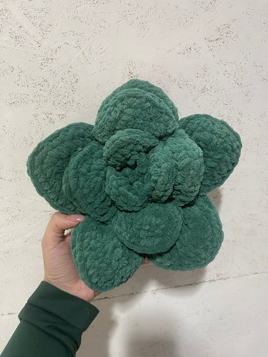 Crochet succulent pillow (pdf)