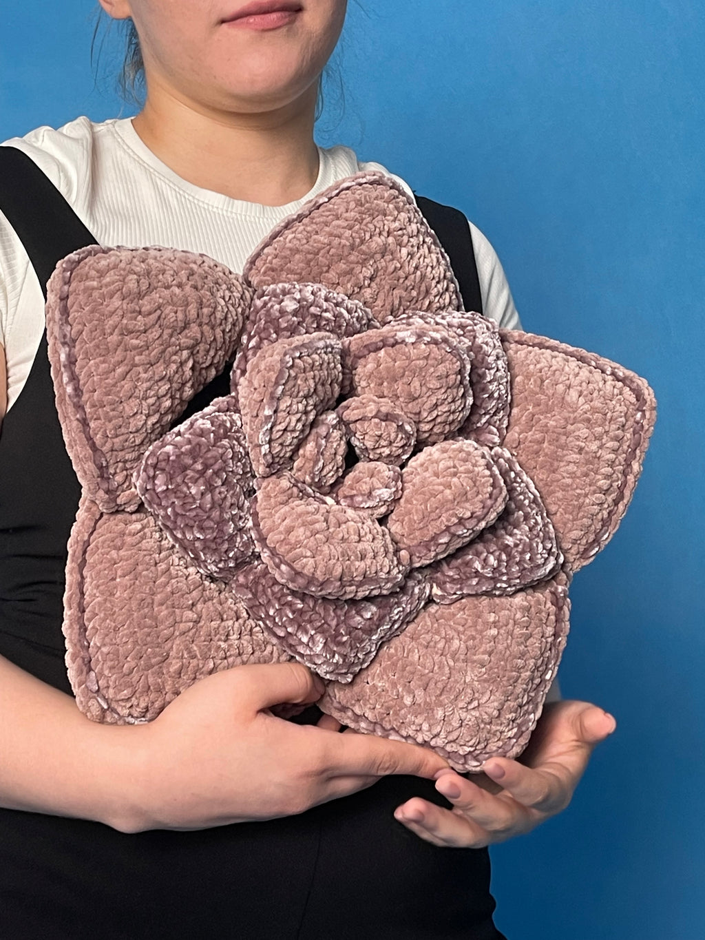 Crochet succulent pillow (pdf)