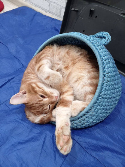 Crochet Pet house