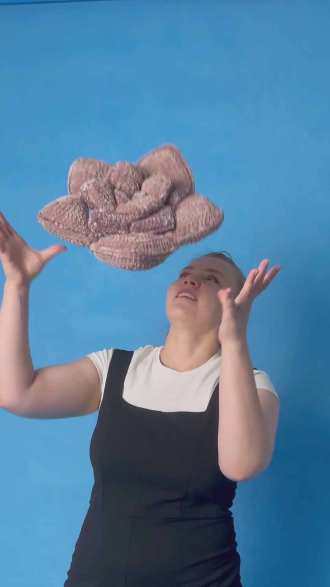 Crochet succulent pillow (pdf)